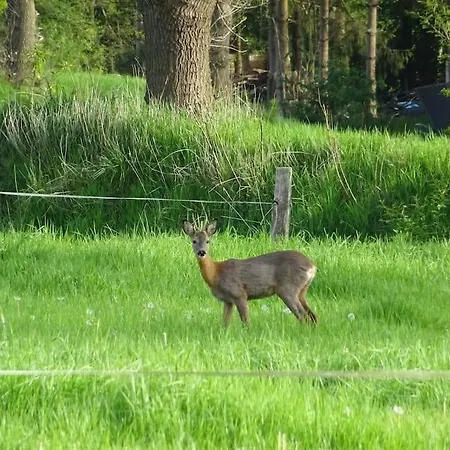 Appartamento Charmante In Idyllischer Lage *