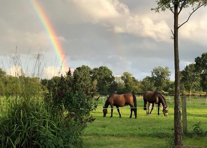 Charmante In Idyllischer Lage