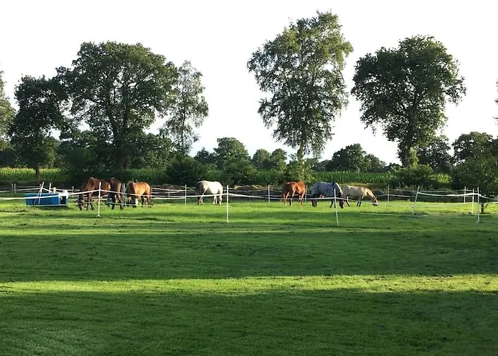 Charmante In Idyllischer Lage * Jever